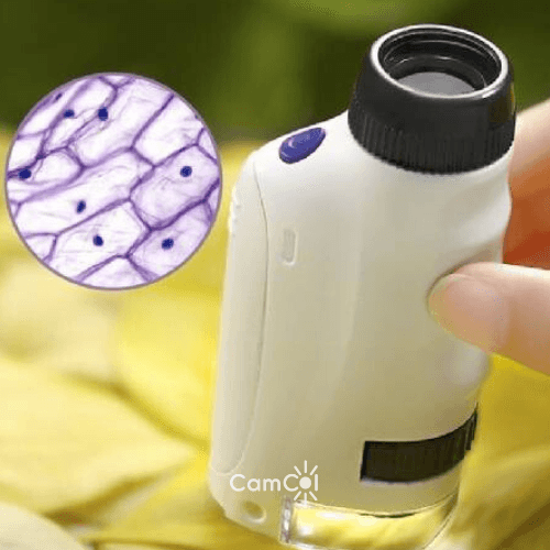 Microscópio Kids - Detalhes Fascinantes