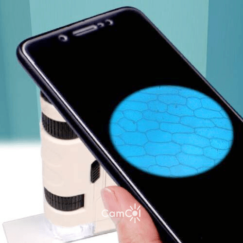 Microscópio Kids - Detalhes Fascinantes